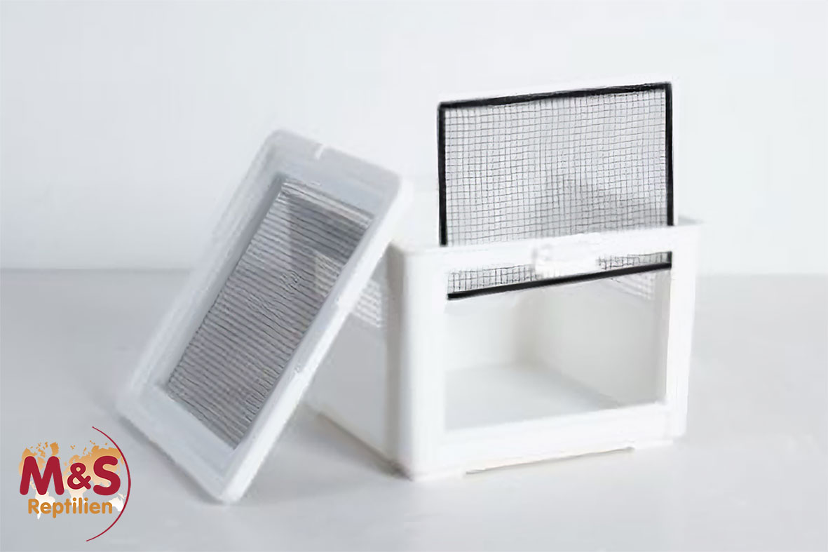 Kunststoffterrarium / Kleintierkäfig / Transportbox -small- 31x31x21cm (RT2022CS)
