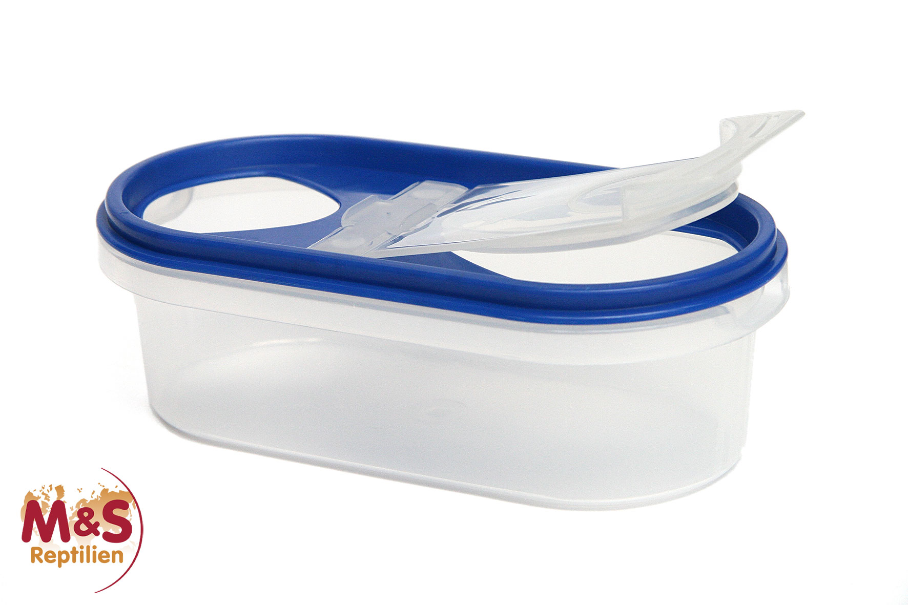 Moosbox einfach, klein (blau)