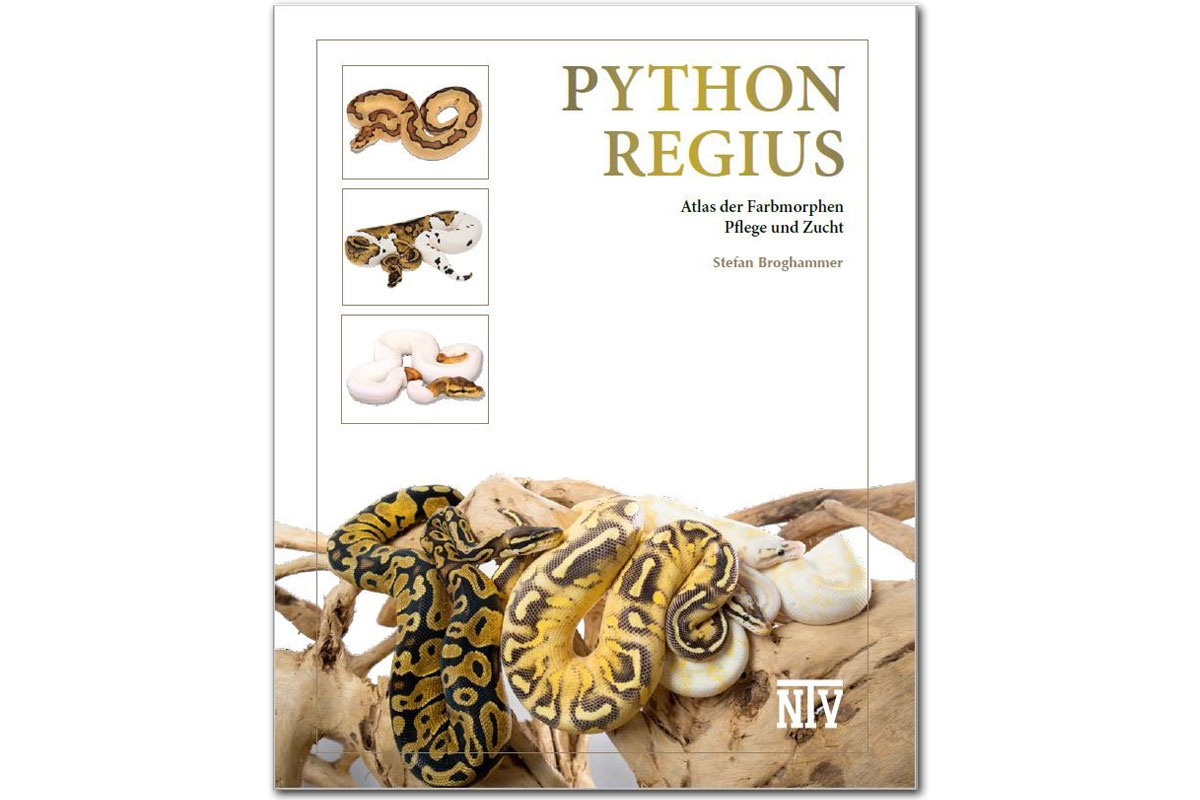 Python regius - Atlas der Farbmorphen, Pflege, Zucht (Stefan Broghammer) 3. Auflage