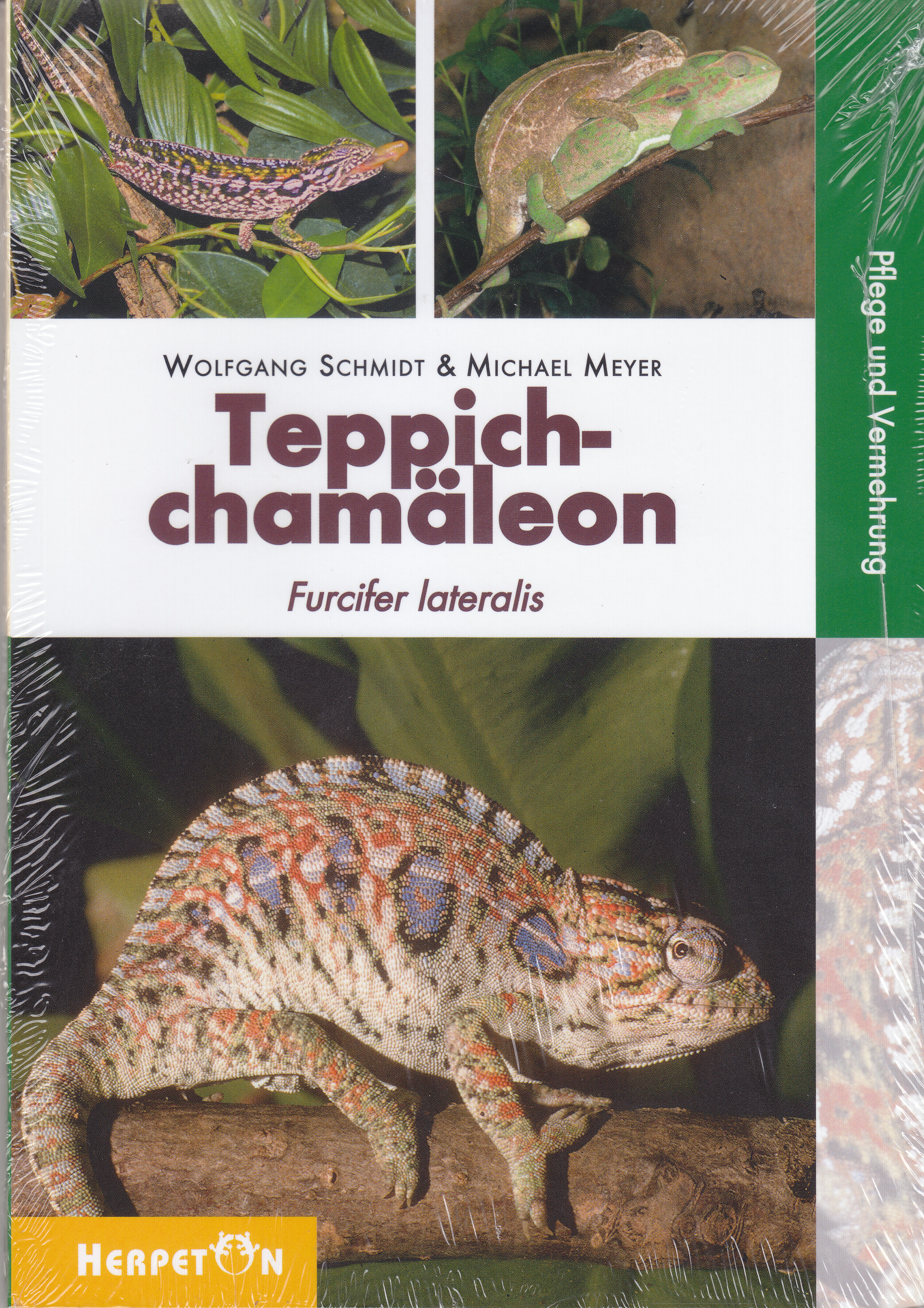 Teppichchamaeleons - Furcifer lateralis, Pflege und Vermehrung (Wolfgang Schmidt & Michael Meyer)