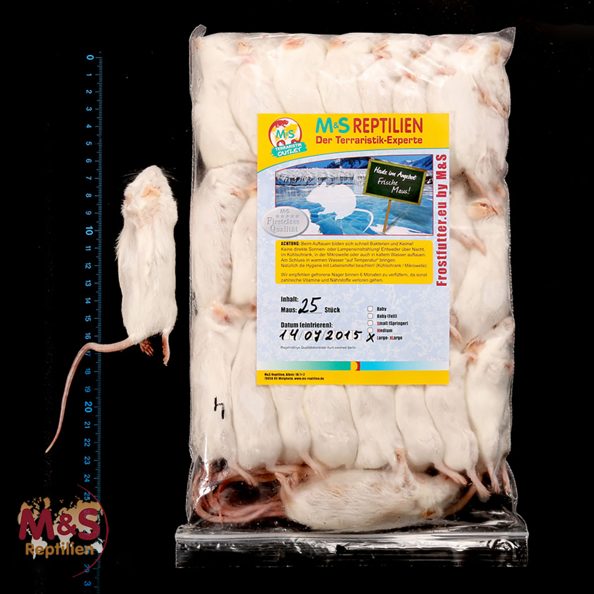 1 (einzelne) Maus XL, gefroren, ca. 35g