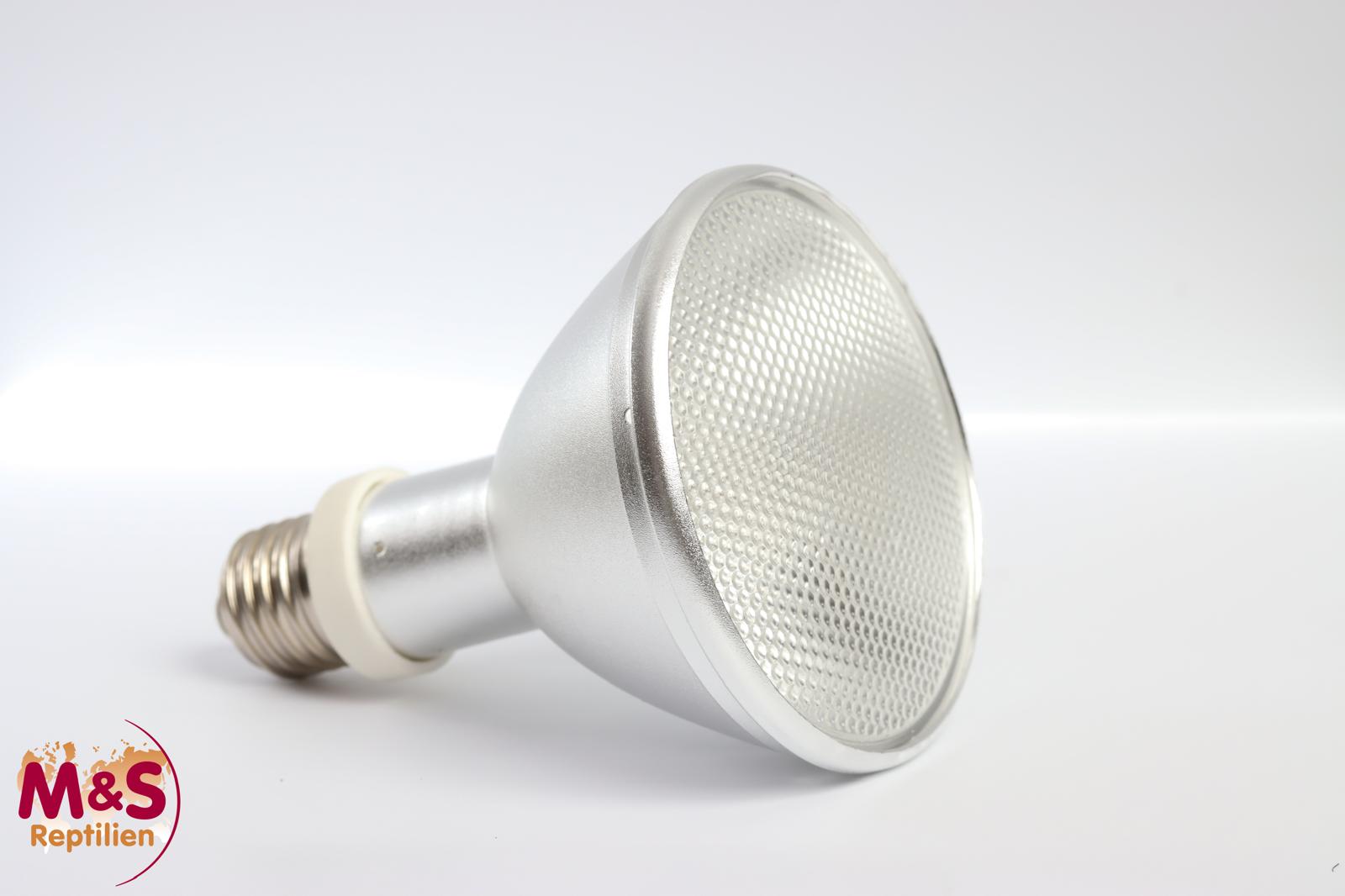 Mega-Ray HID-Lampe (UV-Lampe)