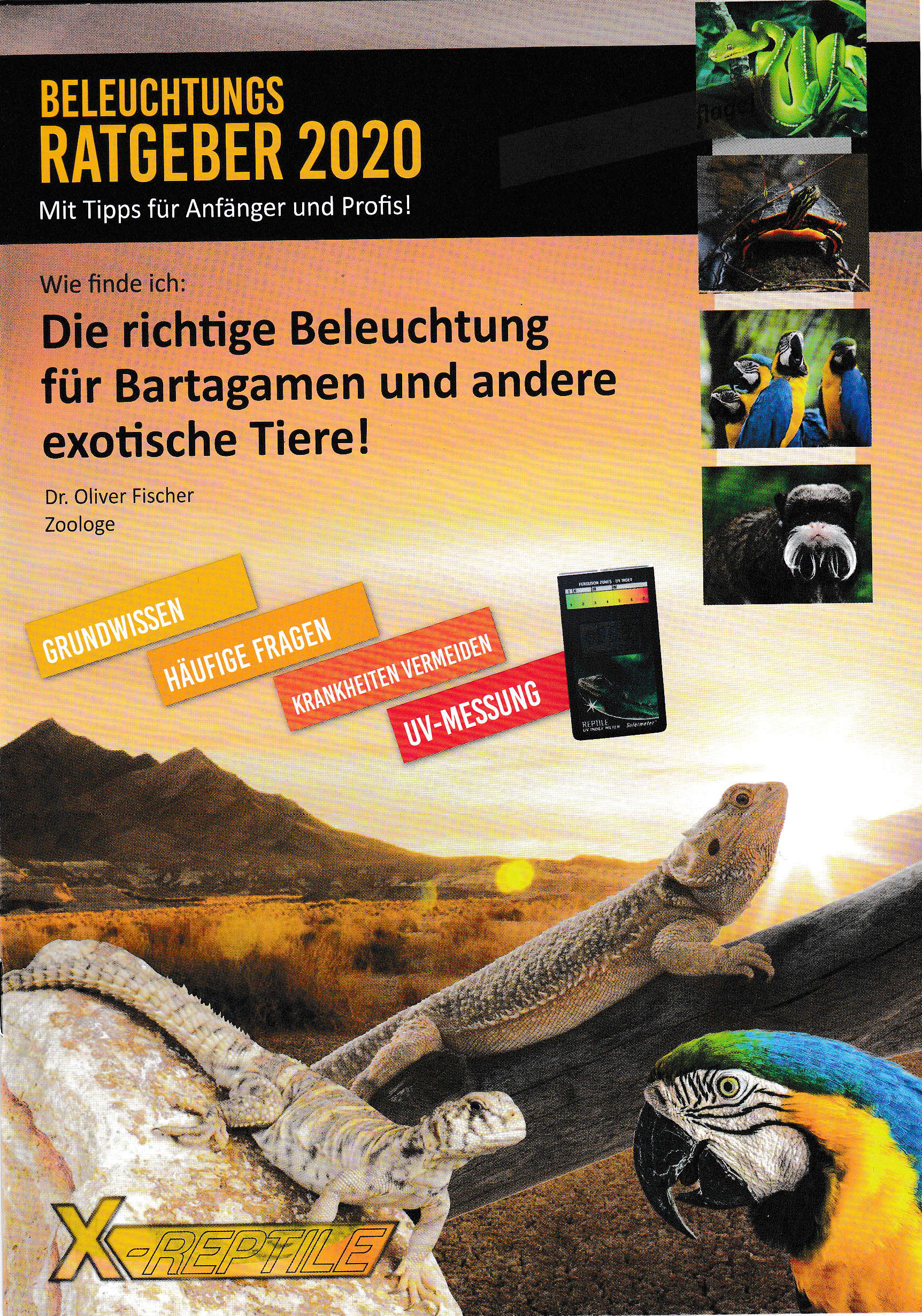 X- Reptile Beleuchtungsratgeber ( Tipps für Anfänger und Profis )