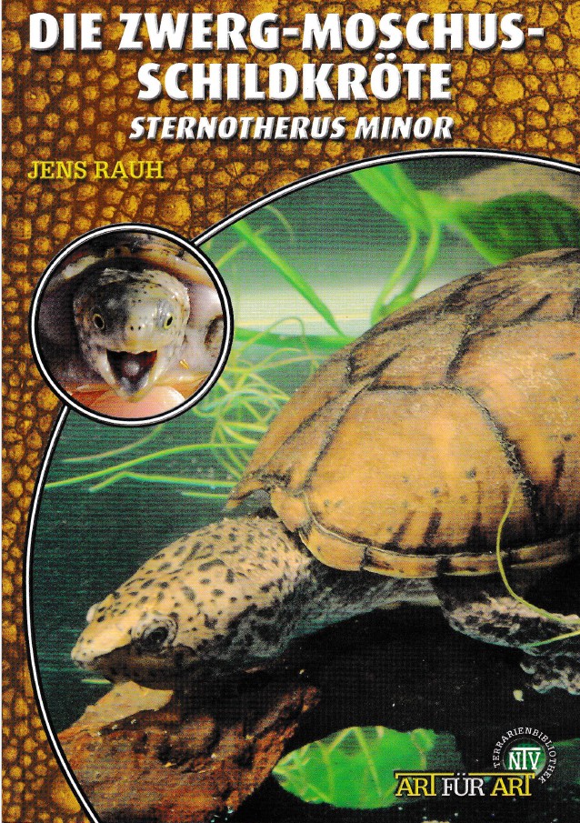 Die Zwerg-Moschusschildkröte - Sternotherus minor (Jens Rauh)
