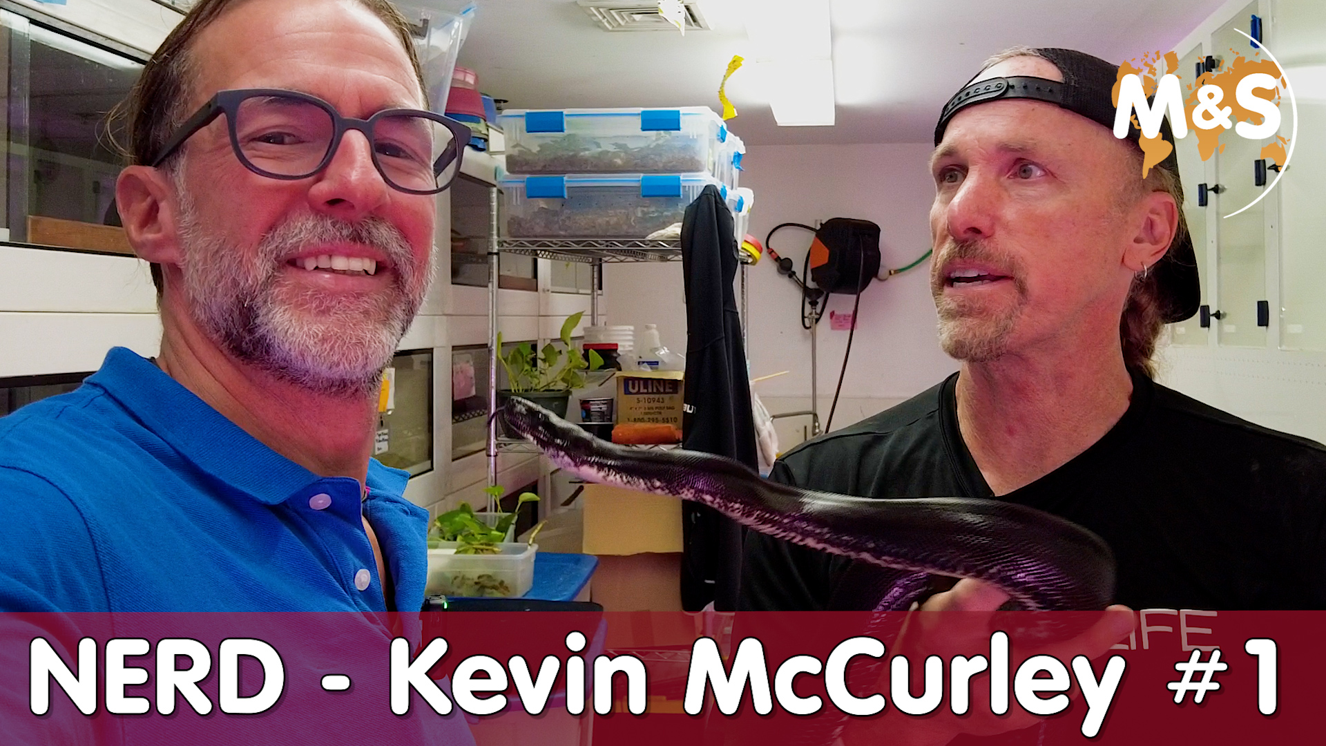 Kevin McCurley von NERD | A Reptile legend! | Folge1