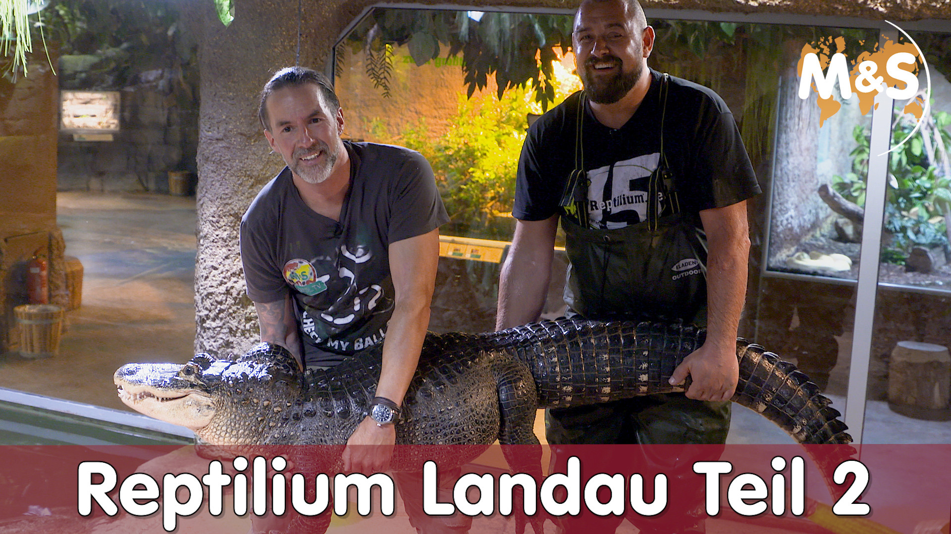 Alligator füttern mit Uwe Wünstel | Reptilium Landau | Teil 2 | Reptil TV