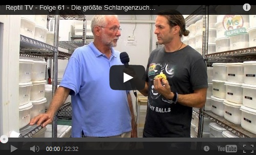 Folge 61 - Die größte Schlangenzucht der Welt Teil 2