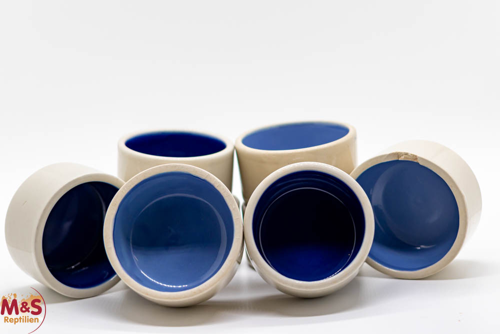 2. WAHL Wasserschale aus Keramik S (GEBRAUCHT! )