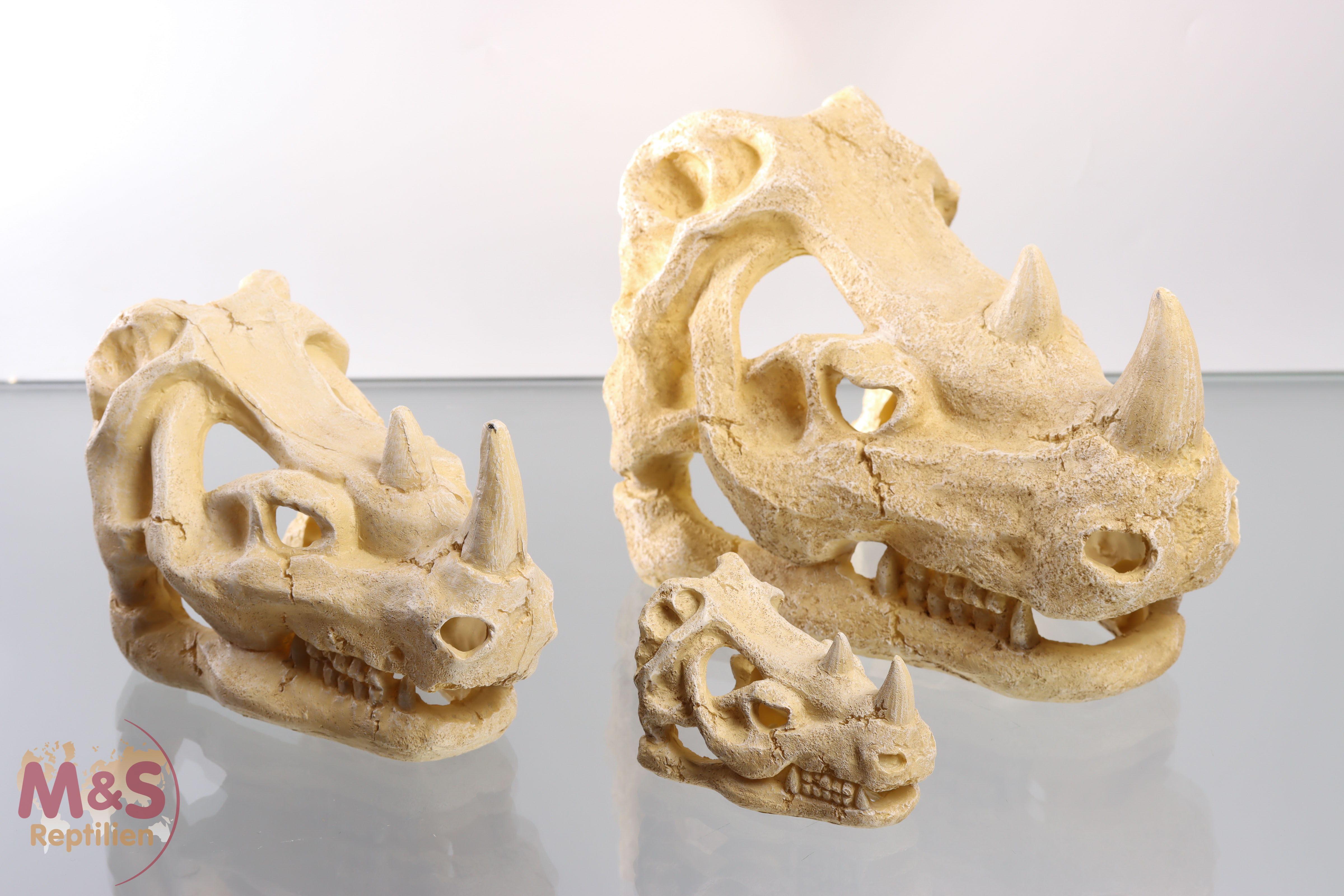 ReptiZoo Nashornschädel (Rhino Skull Hide Cave)  (ERS35)