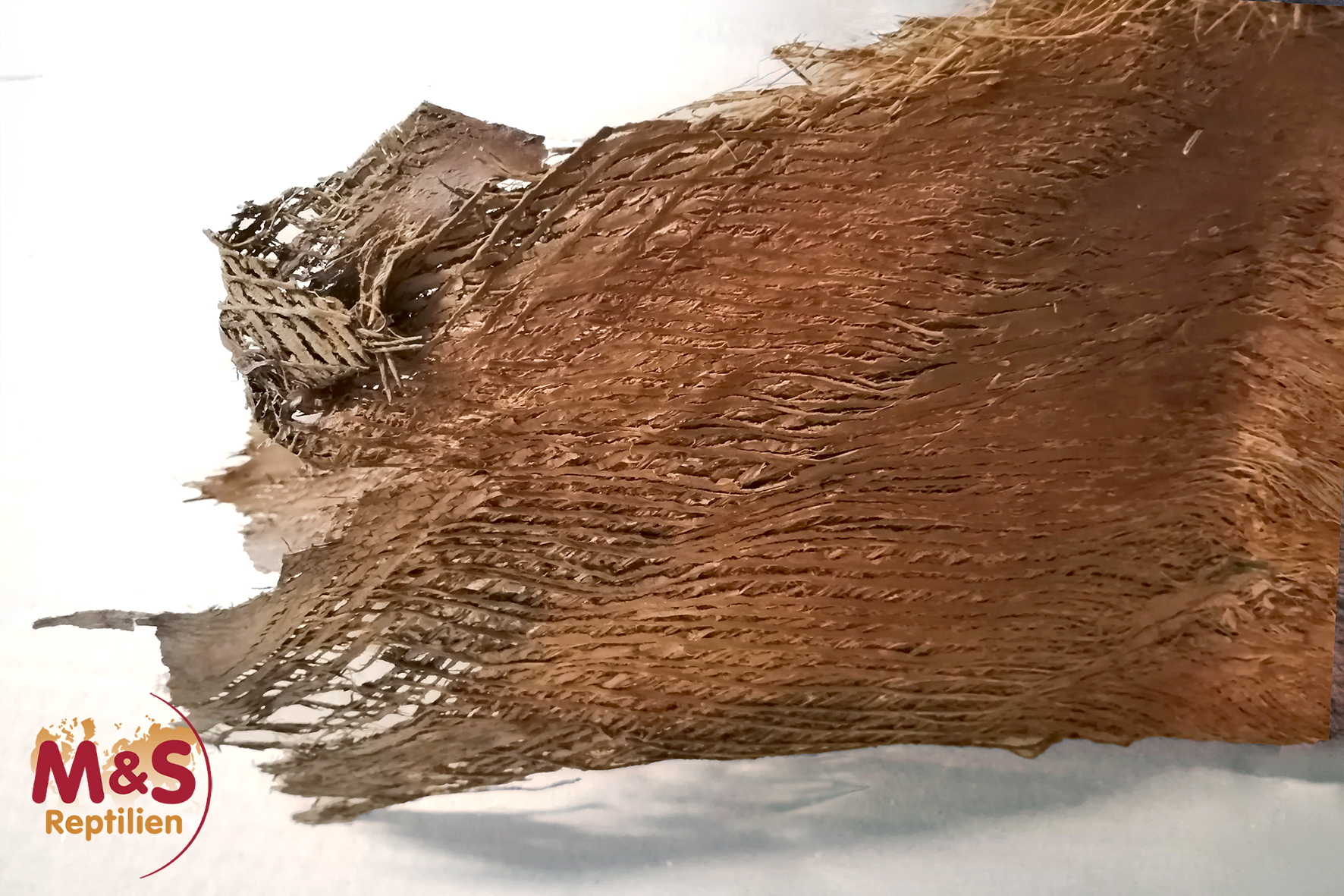 Palmfaser (100 g)
