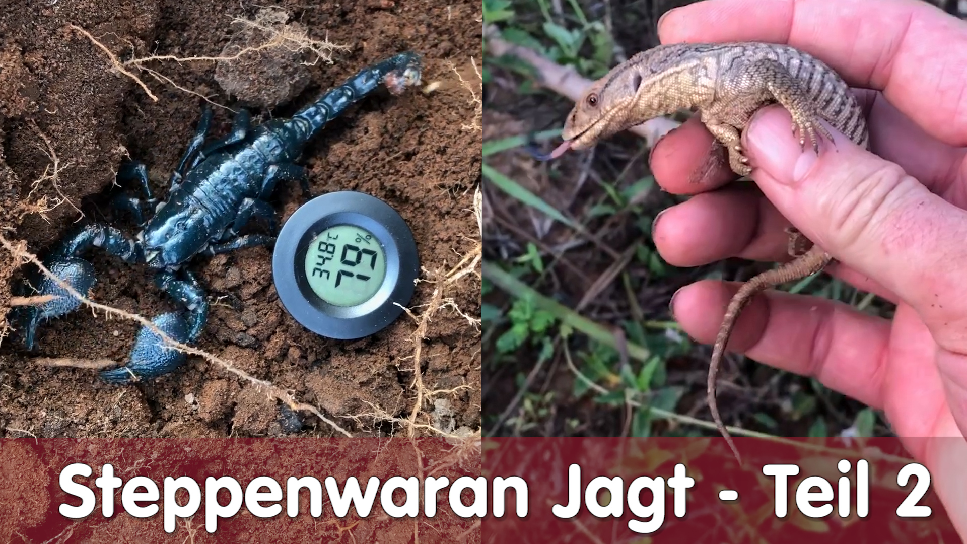 Folge 116 - Steppenwaran Jagt in Afrika 2018 – Teil 2