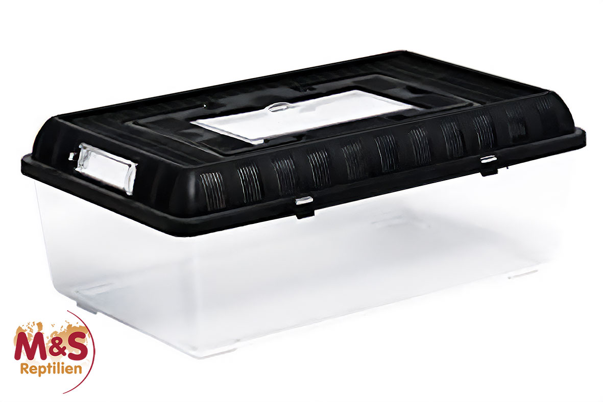 ReptiZoo Plastikterrarium large 42x26x16cm (RT2004B)