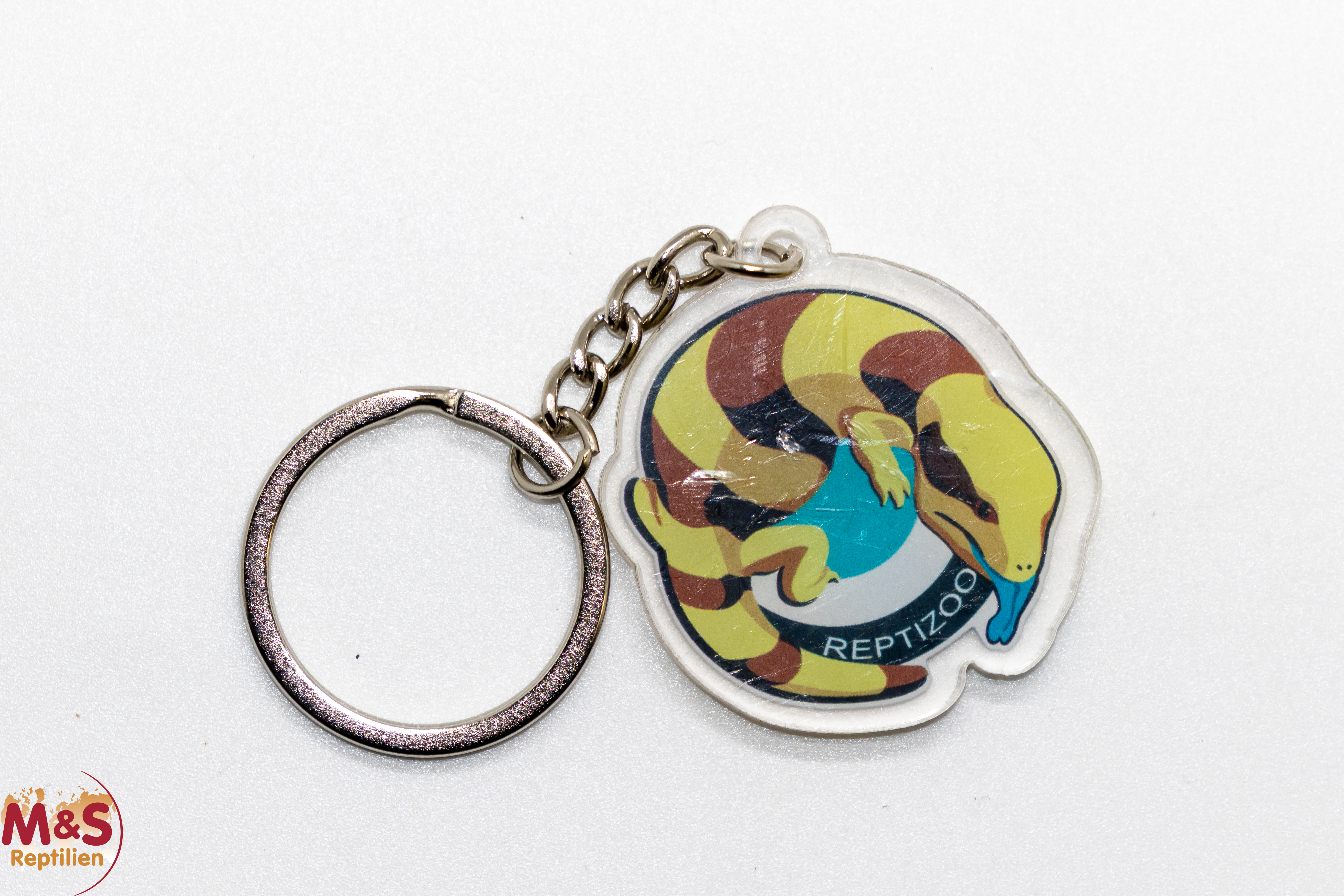 Schlüsselanhänger Blauzungenskink #9