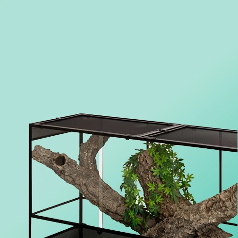 ReptiZoo Glasterrarium