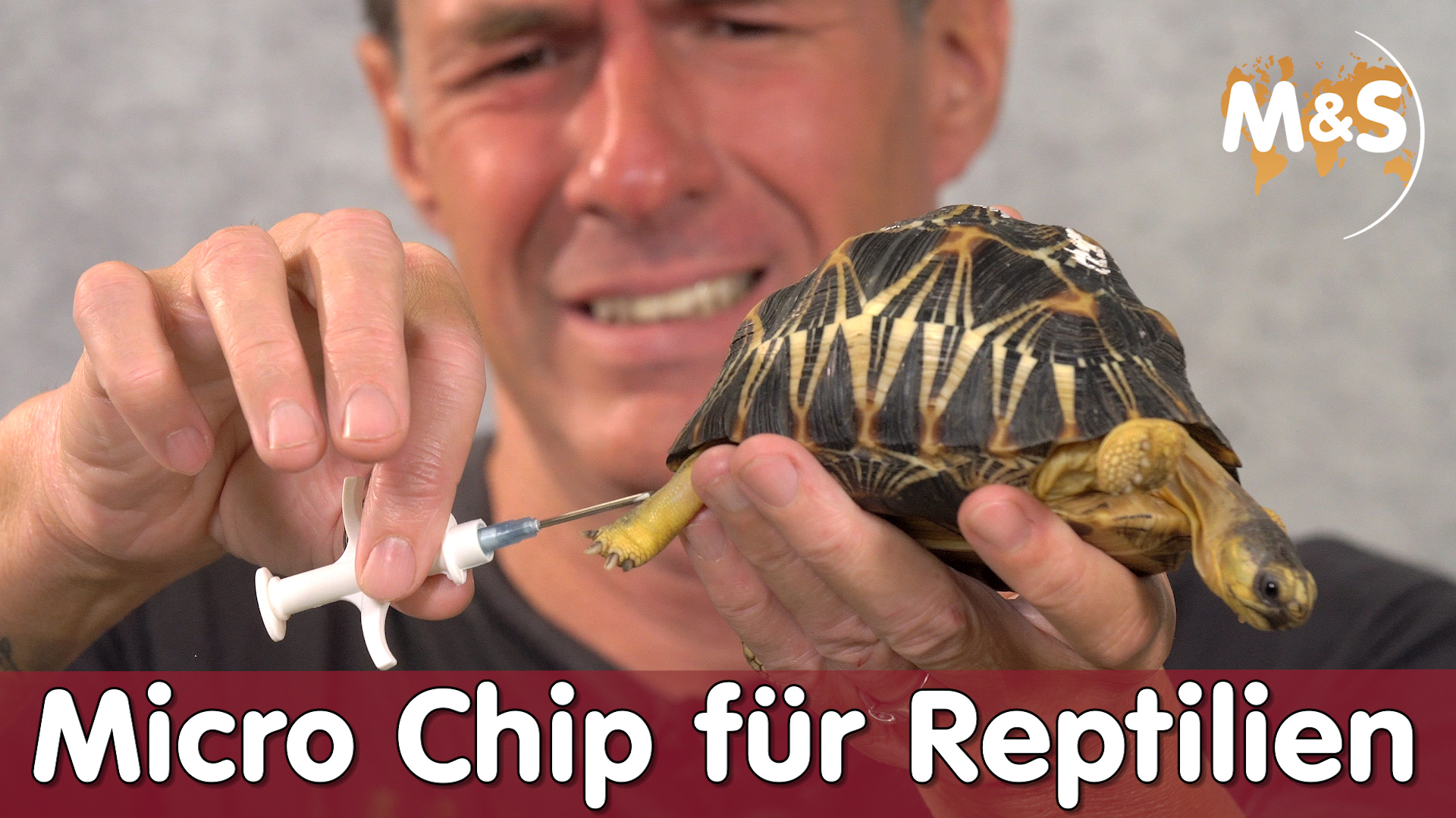 RFID Micro Chip aus der Spritze | ID Tag & Transponder für Reptilien