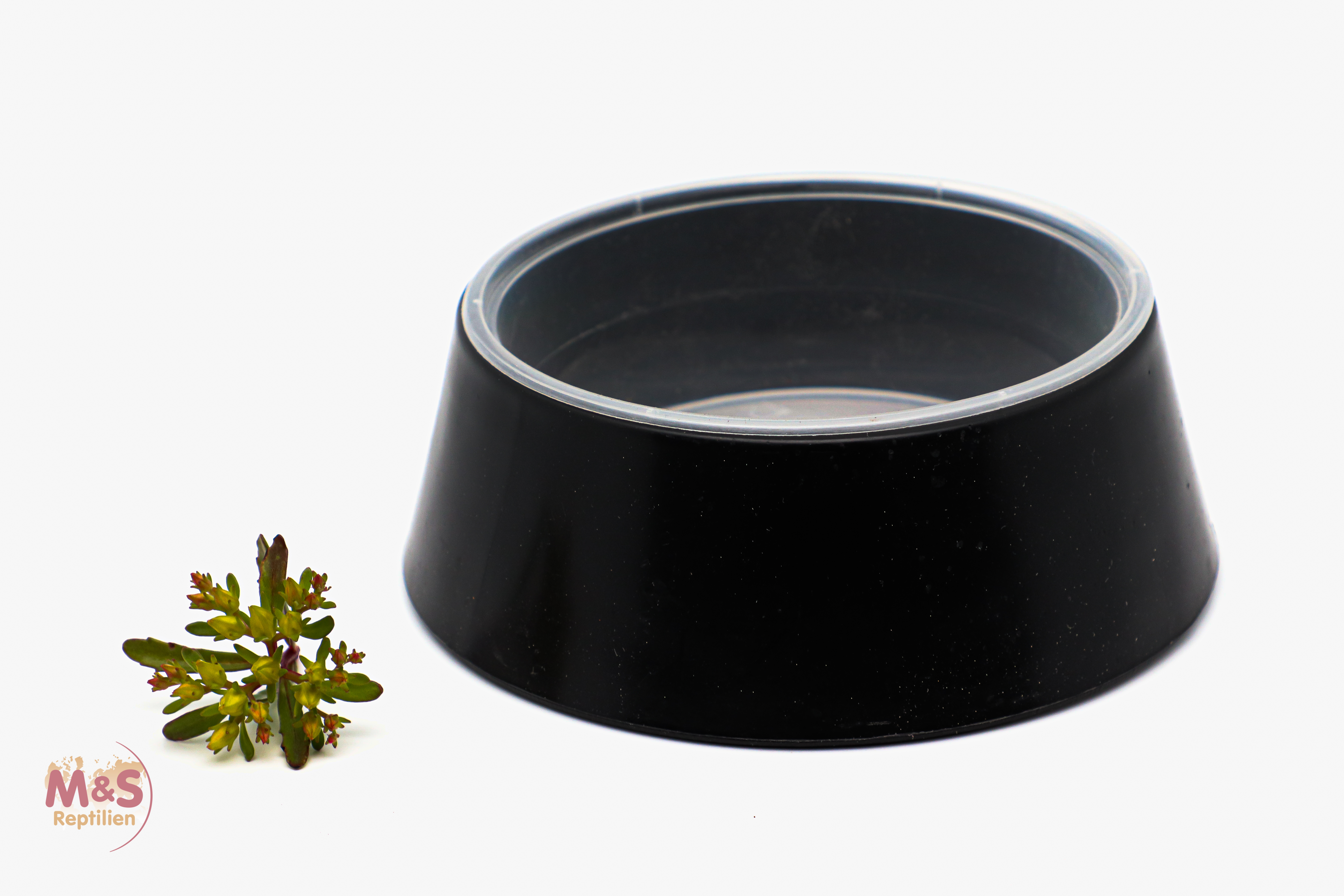 Einweg Wasserschalen-Set Halterung ( Cup Holder ) inkl. 10 PP-Bechern ca.300 ml