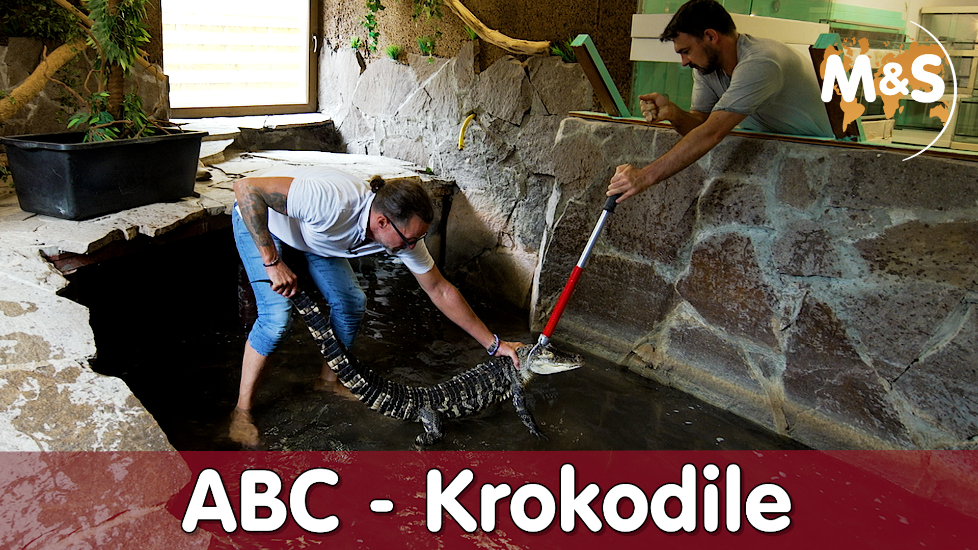 Krokodile für Zuhause? | So fängt man Krokodile! | Reptilien ABC