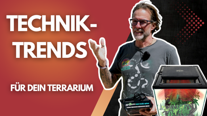 Schluss mit schlechter Wärme!? DAS ist die Lösung fürs Terrarium!