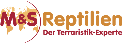 Zur Startseite gehen