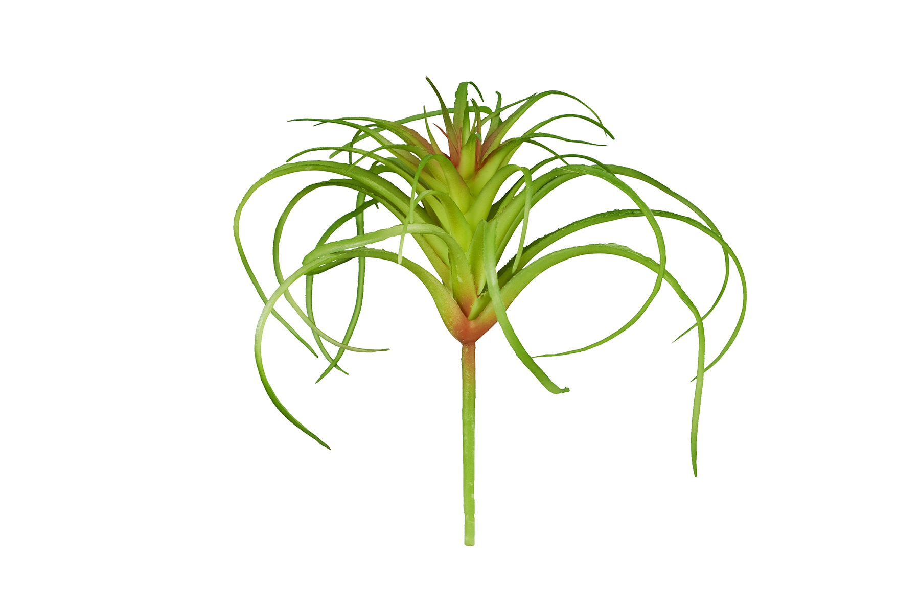 ReptiZoo Kunststoffpflanze "Tillandsia"  – Terrariendekoration (12 cm)