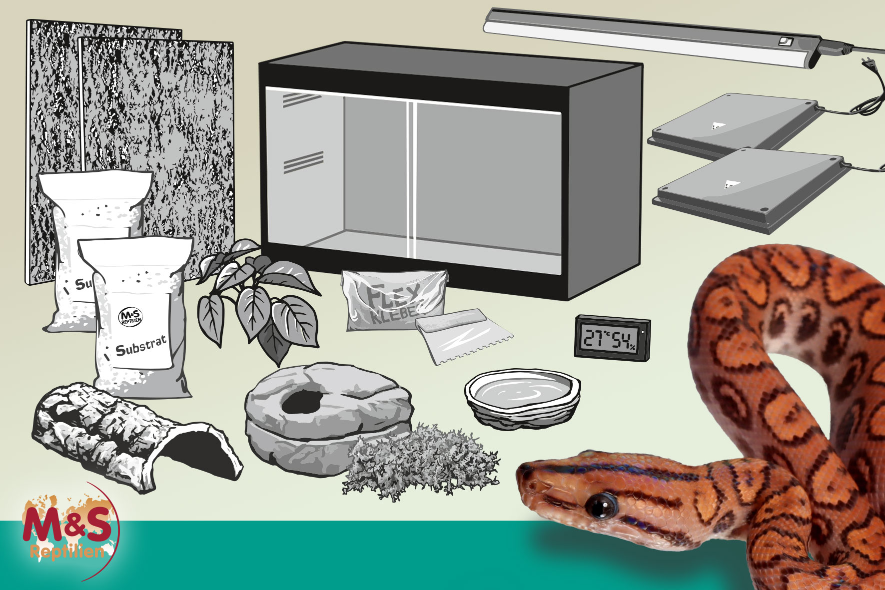 Komplettset: Für kleinere Boas und Pythons (120 cm Länge) mit ReptiZoo PVC-Terrarium (CN1206060H), 120x60x60cm