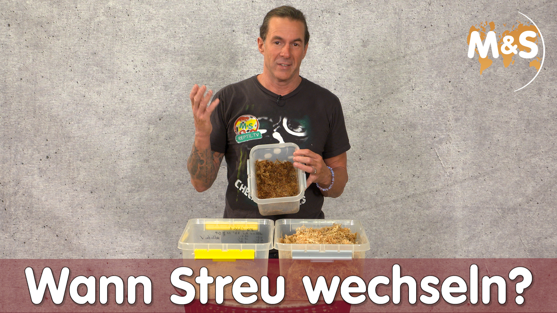 Wann Streu wechseln ?  / Reptil TV Praxis