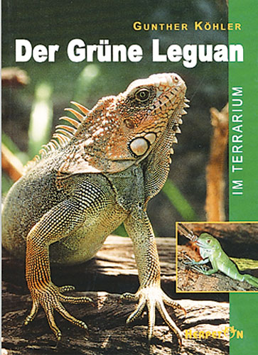 Der Grüne Leguan im Terrarium (Gunther Köhler) Paperback