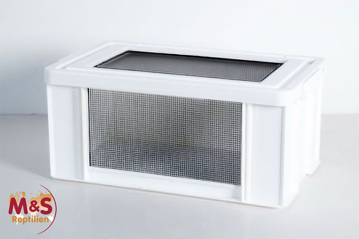 Kunststoffterrarium - large 70x 42x 31 cm (RT2022CL)