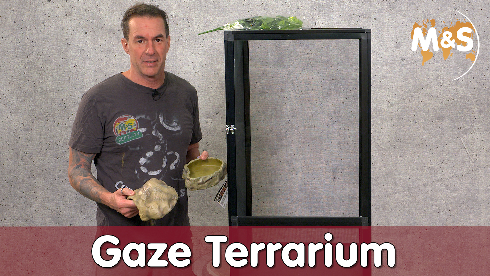 Sommer, Sonne, Gaze Terrarium | ReptiZoo | Reptil TV