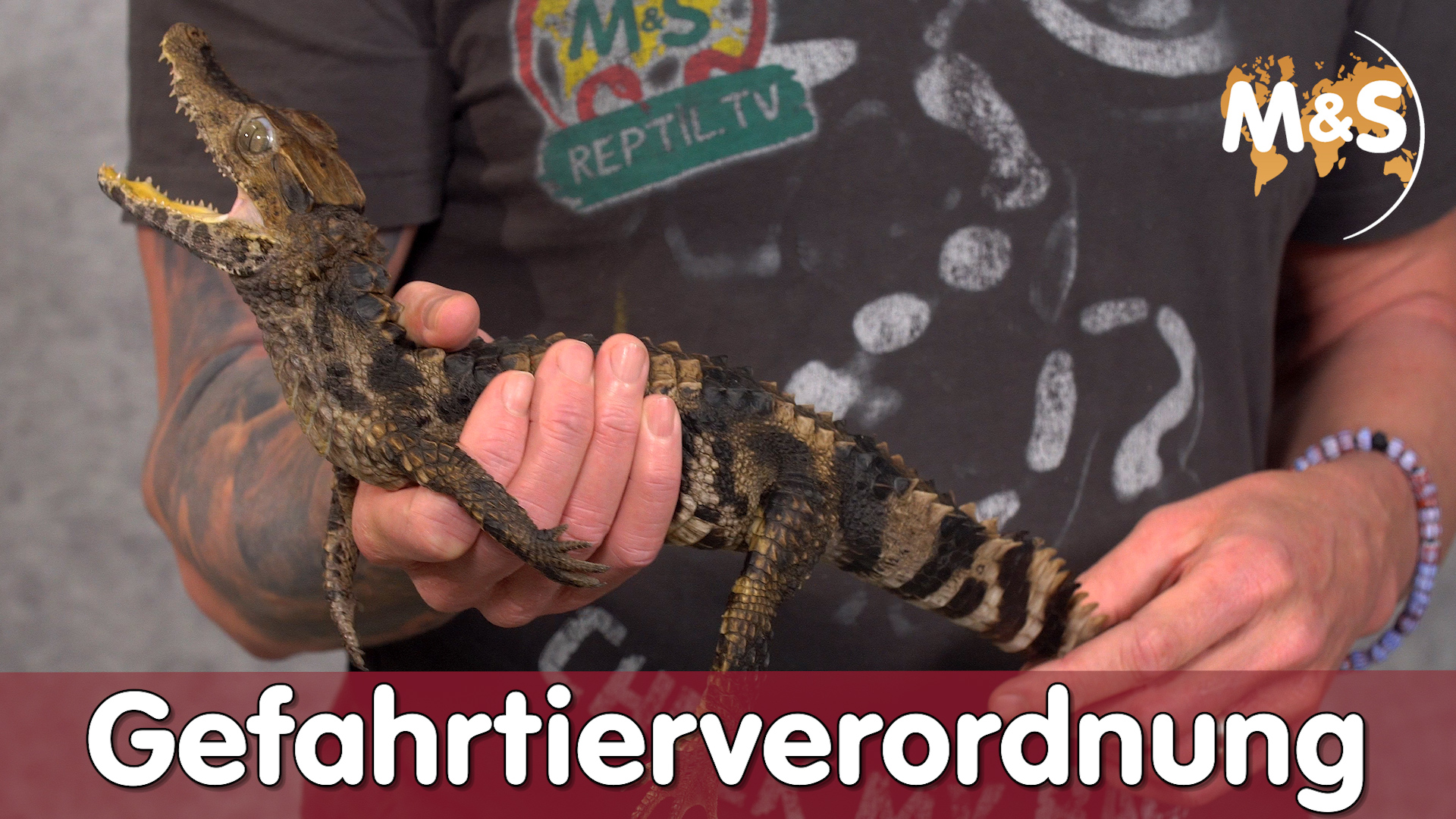 Gefahrtierverordnung & Gesetze | Bundesländer Deutschland | Reptil TV