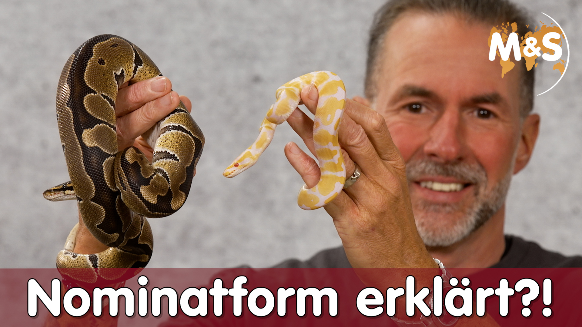 NOMINATFORM für Laien erklärt?! | GRATIS F10 Produkte | Reptilien ABC