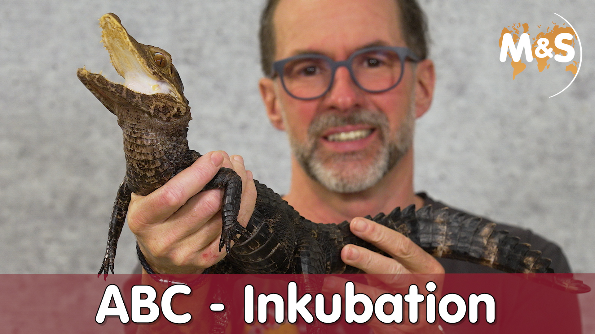 Deshalb sind die Dinos ausgestorben!? | Geschlecht durch Temperatur aussuchen