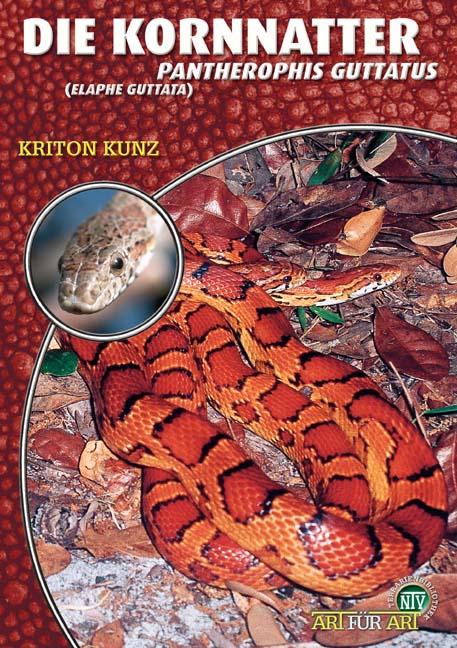 Die Kornnatter - Pantherophis guttatus (Kriton Kunz)