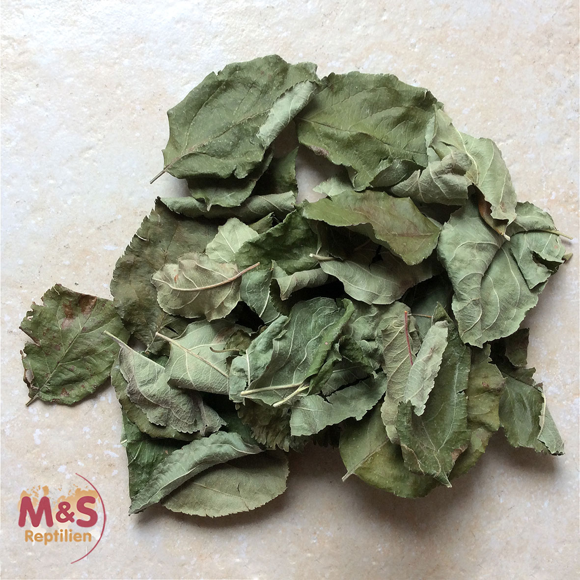 Apfelblätter grün, getrocknet, Futter/Dekoblätter (30 Stück)
