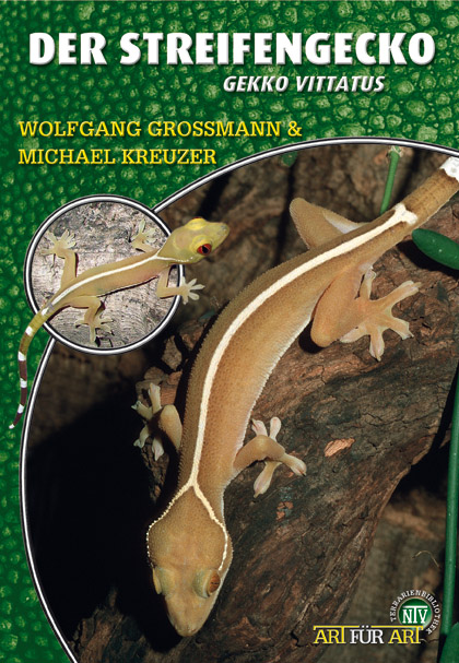 Der Streifengecko - Gekko vittatus (Wolfgang Grossmann & Michael Kreuzer)