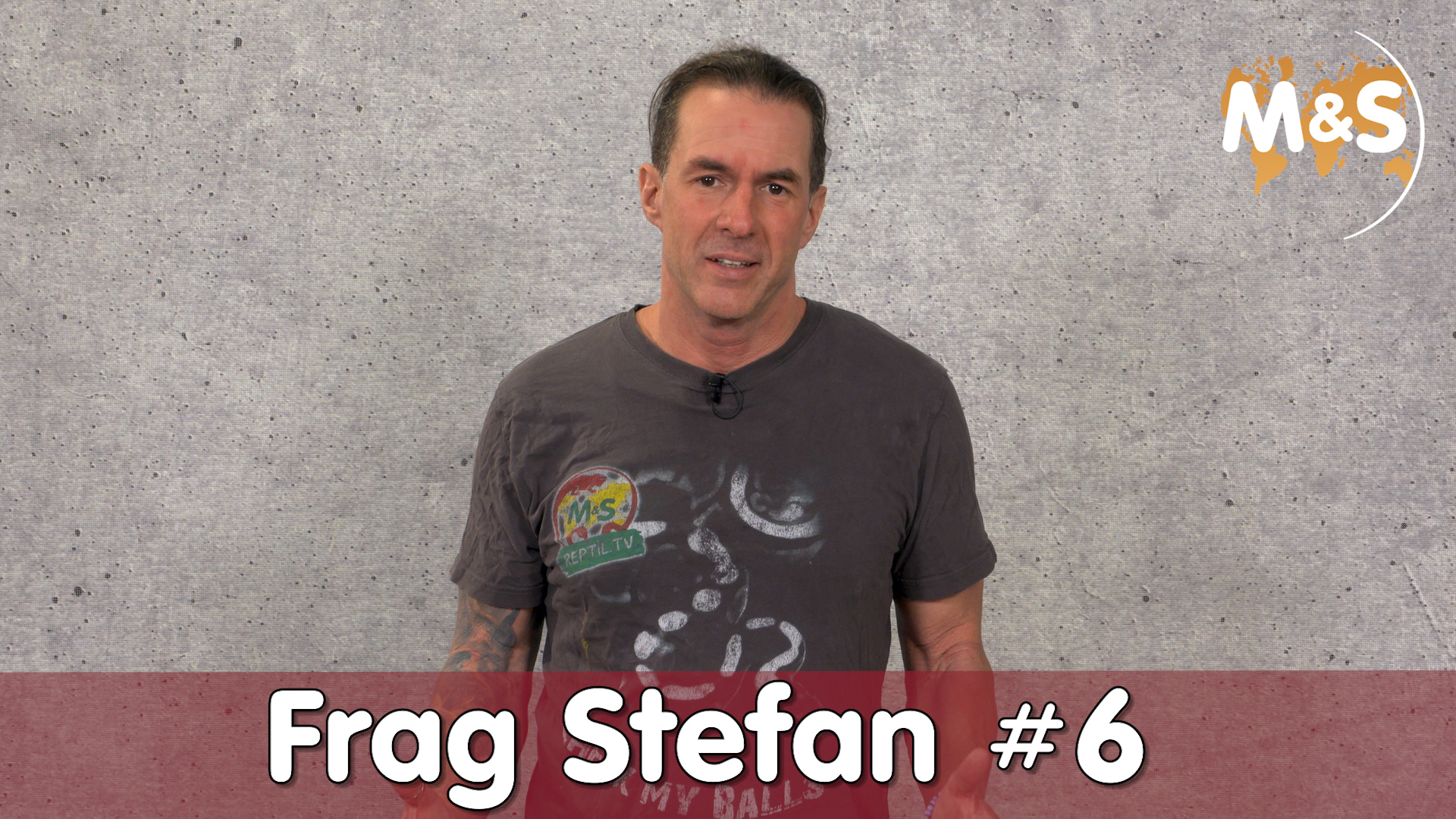 Die 10 verrücktesten Terraristik Fragen | Frag Stefan #6 | Reptil TV
