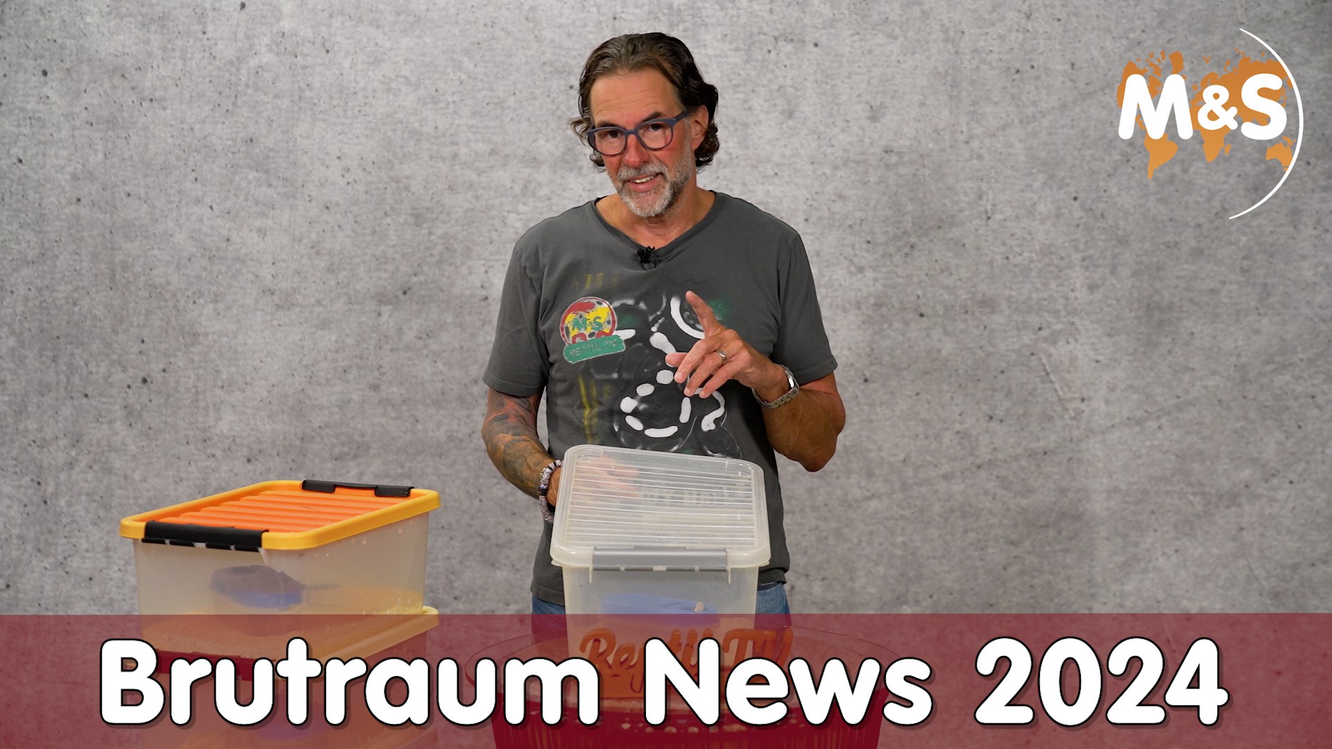 Brutraum News 2024