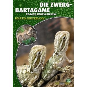 Die Zwergbartagame - Pogona henrylawsoni (Martin Dieckmann)