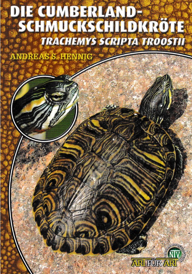 Die Cumberland Schmuckschildkröte - Trachemys scripta troostii (Andreas S. Hennig)