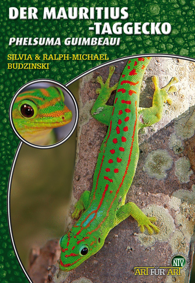 Der Mauritiustaggecko - Phelsuma guimbeaui (Sylvia & Ralph-Michael Budzinzki)