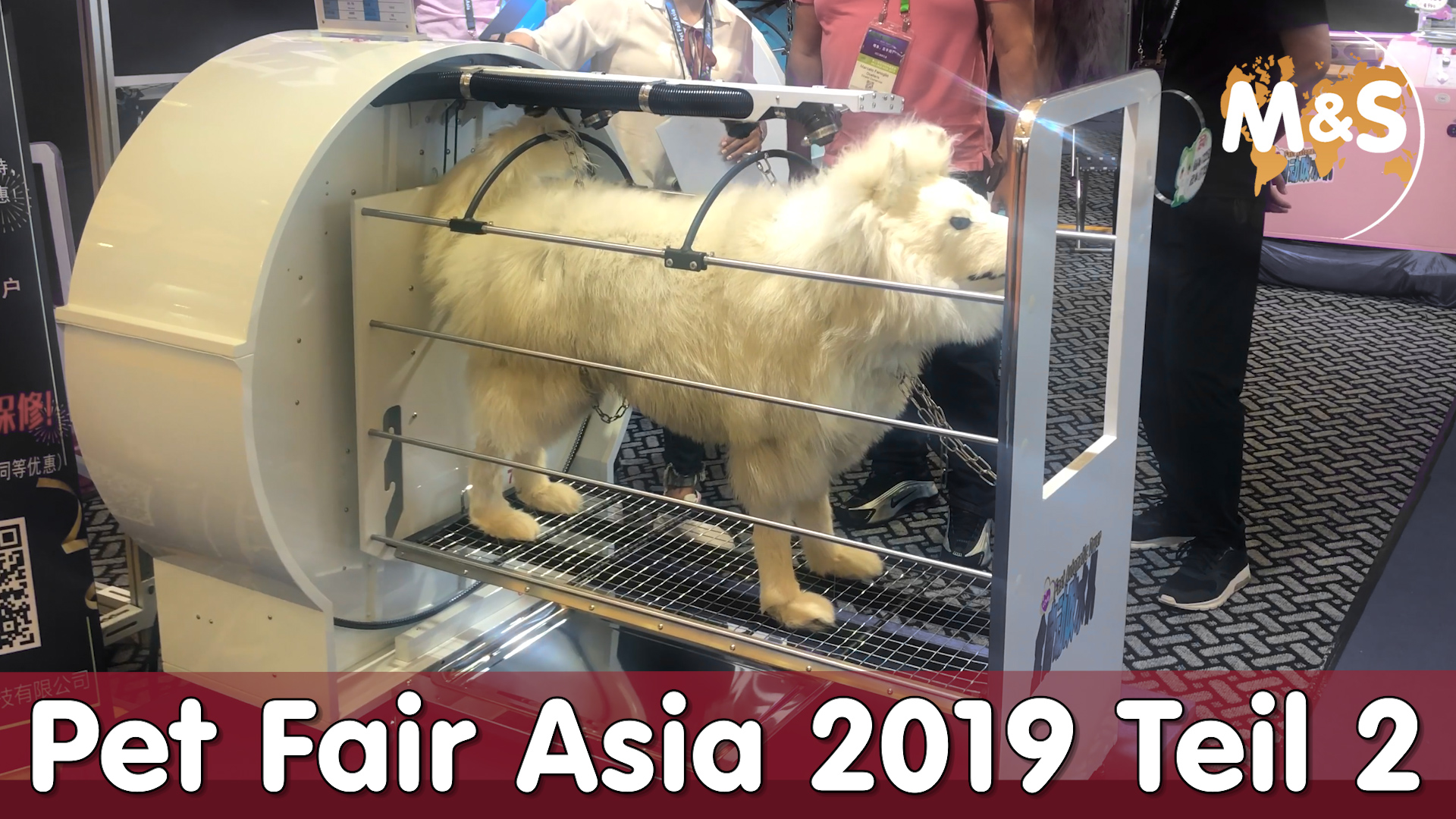 Pet Fair Asia | Teil 2 | China Roadtrip 2019 | Reptil TV