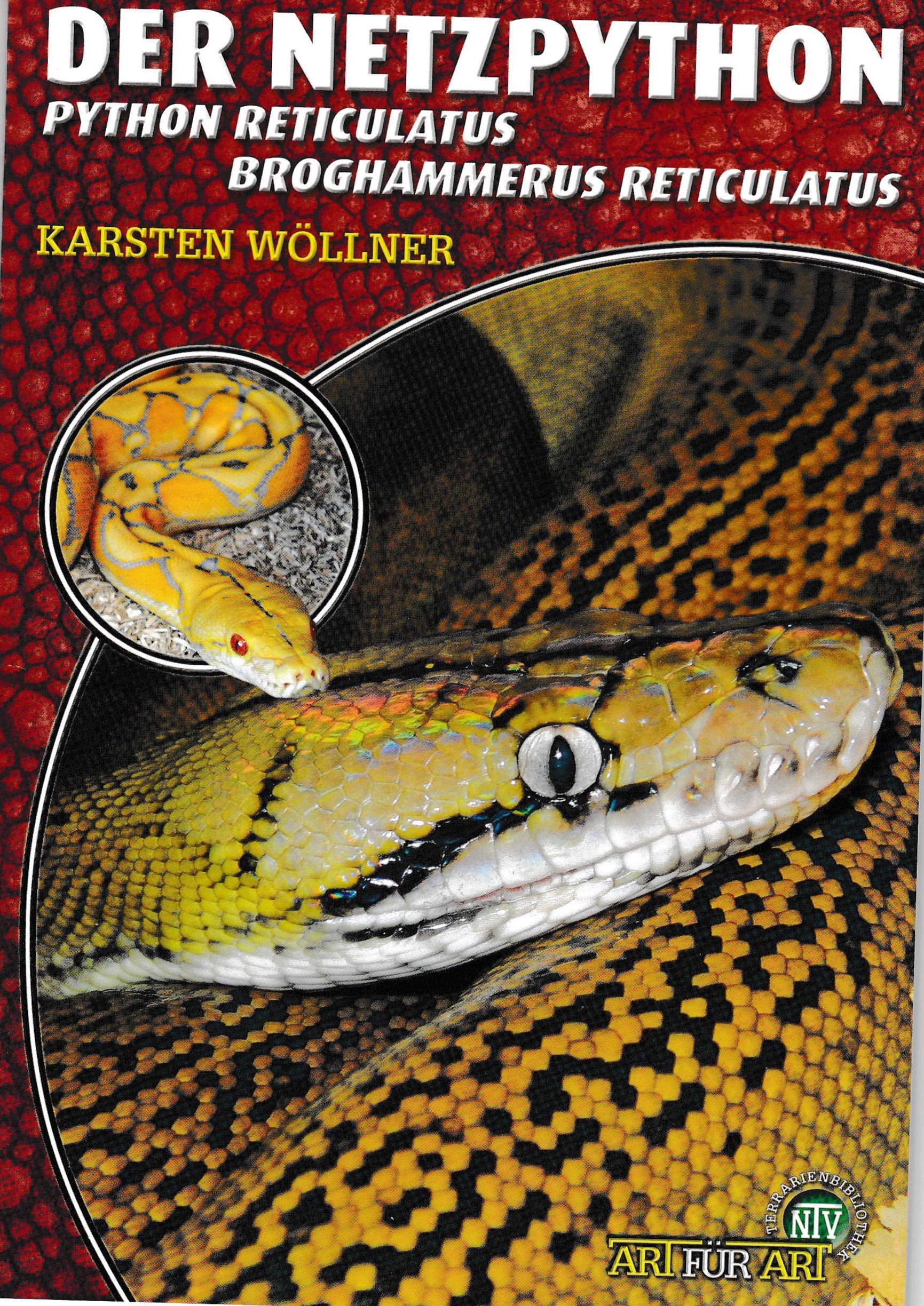 Netzpython Größe Der Netzpython - Broghammerus reticulaus (Karsten Wöllner) | bsbr | M&S ...