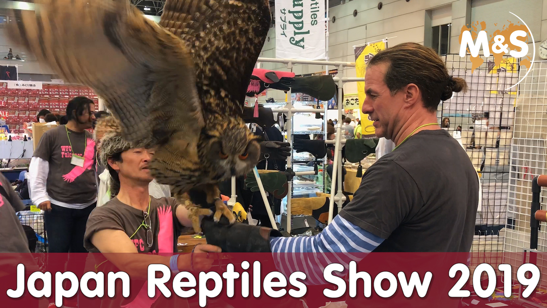 Die Eule will abhauen! | Säugetiere auf der Japan Reptiles Show 2019 | Reptil TV