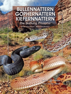 Bullennattern, Gophernattern, Kiefernnattern - Die Gattung Pituophis (Hirschkorn & andere)