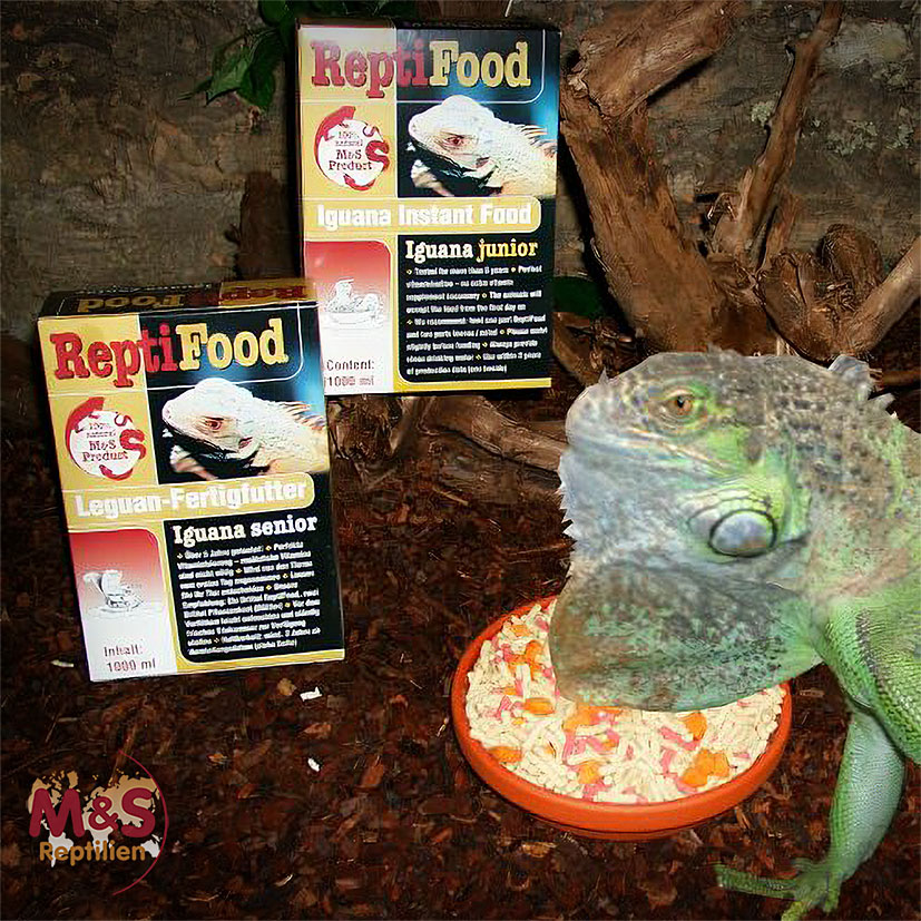Reptile Food, Iguana Senior (12 Stk. à 2000 ml)
