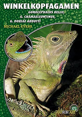 Die Winkelkopfagamen - Gonocephalus bellii, G. chamaeleontinus, G. doriae abbotti (Michael Evers)