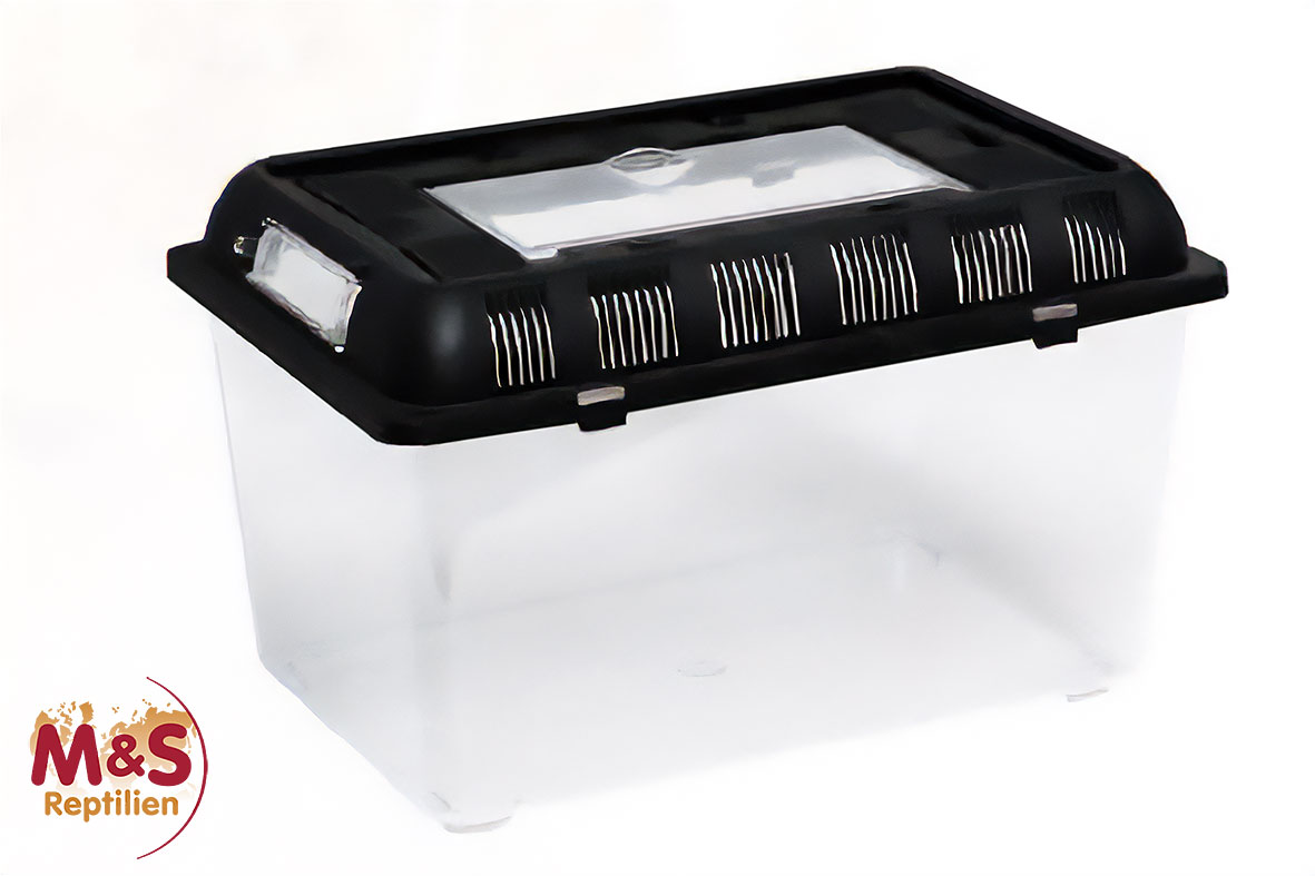 ReptiZoo Plastikterrarium medium 32,5x22x21 cm ( RT2003B)