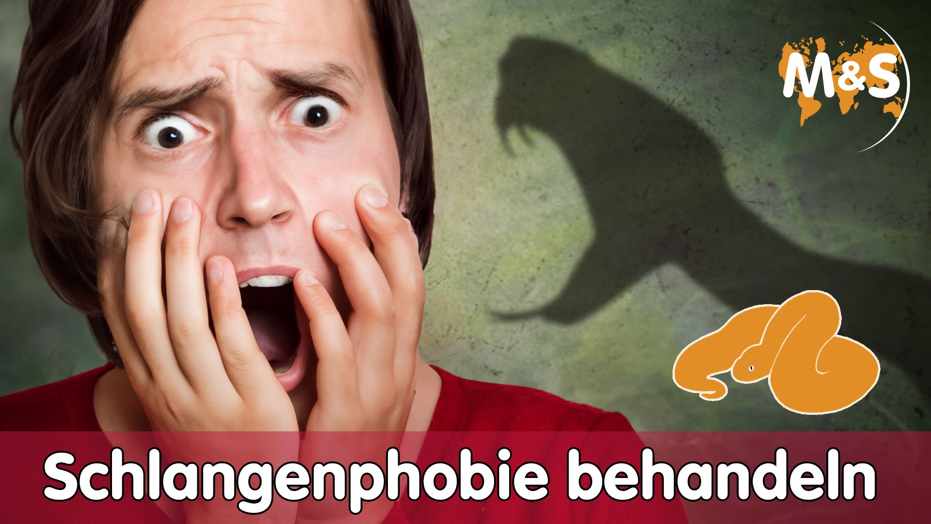 Schlangenphobien dank LIVE-Hypnose loswerden