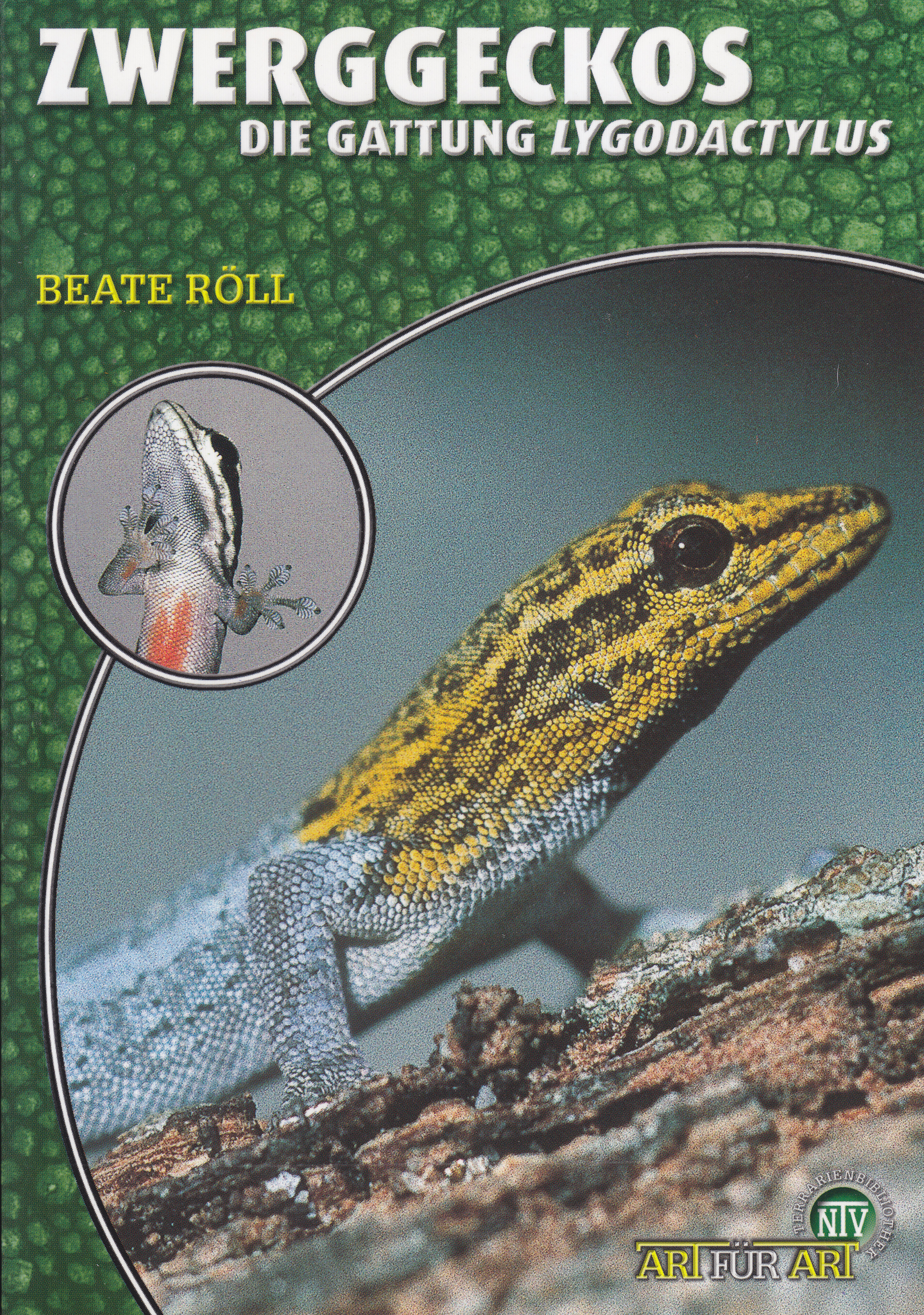 Zwerggeckos - Die Gattung Lygodactylus (Beate Röll)