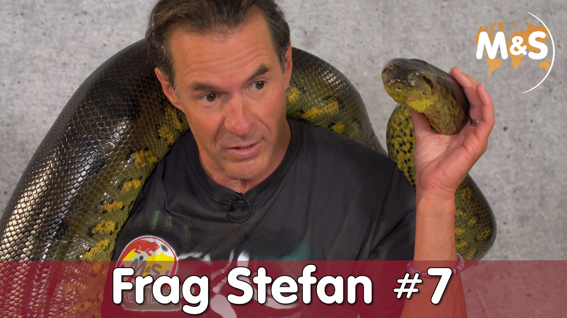 Frag Stefan #7 | Ihr fragt, Ich antworte! | Reptil TV